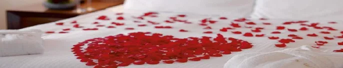معلومات عرض الأسطورة