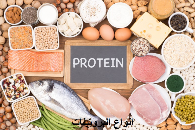انواع البروتين