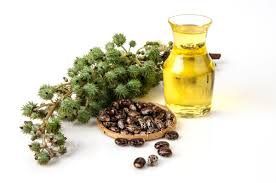 زيت الخروع وفوائده المتعددة للشعر والبشرة