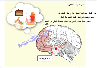 طرق علاج السكر والضغط المرتفع