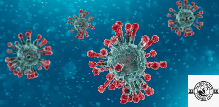 تشخيص فيروس نيباه الجديد