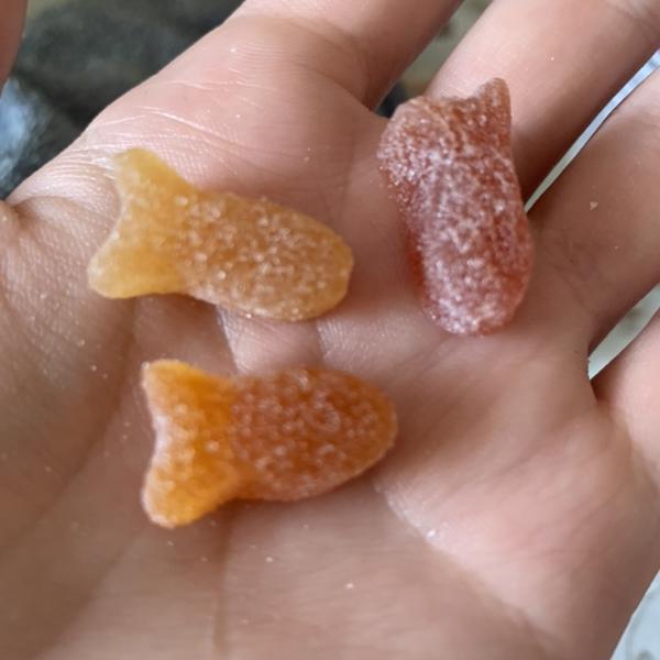 أوميجا 3 EPA / DHA لدعم الجهاز العصبي 60 علكة جيلاتينية