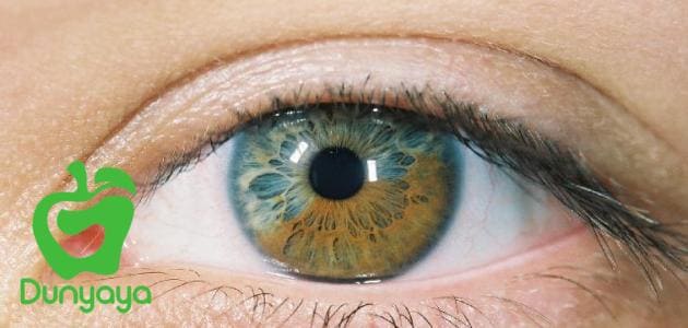 كبسولات لتقوية النظر وحماية العين من الالتهابات