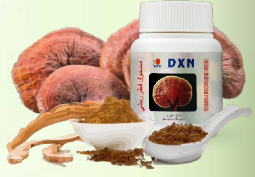 مسحوق فطر الريشي من دكسن متعدد الفوائد للصحة العامة 70 جرام DXN